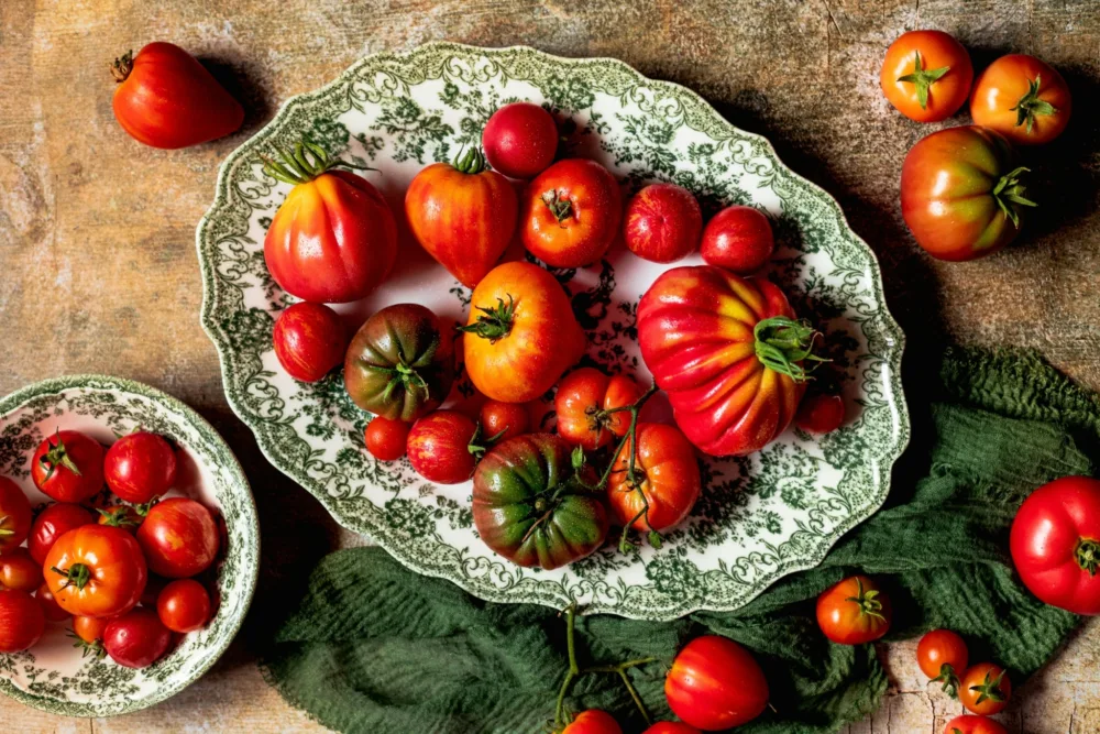 Hero banner cultiver tomates recolte abondante