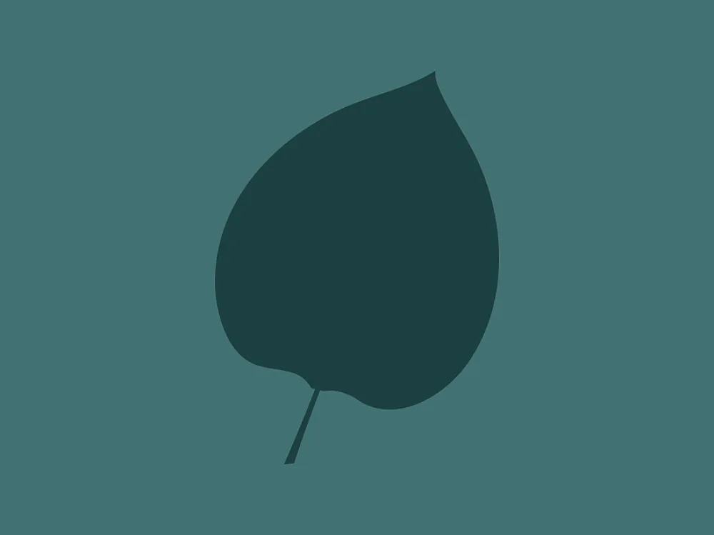 Illu feuille