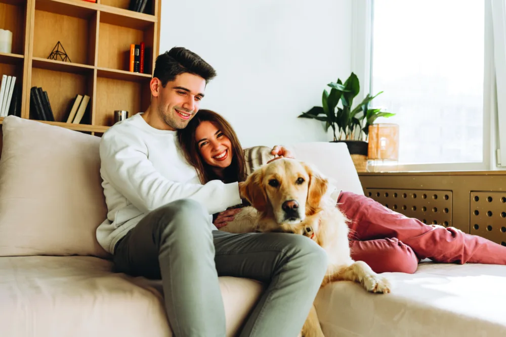 Adobe Stock 1138417401