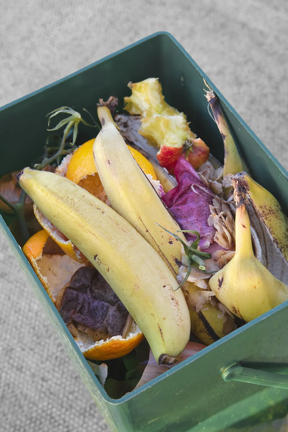 Bac petit residus alimentaires