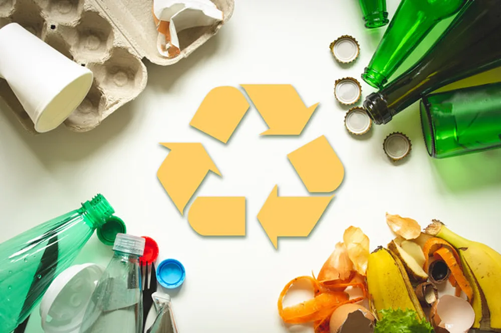 B19 FC4 E4 C331 436 A 83 C9 1 EECC618338 F