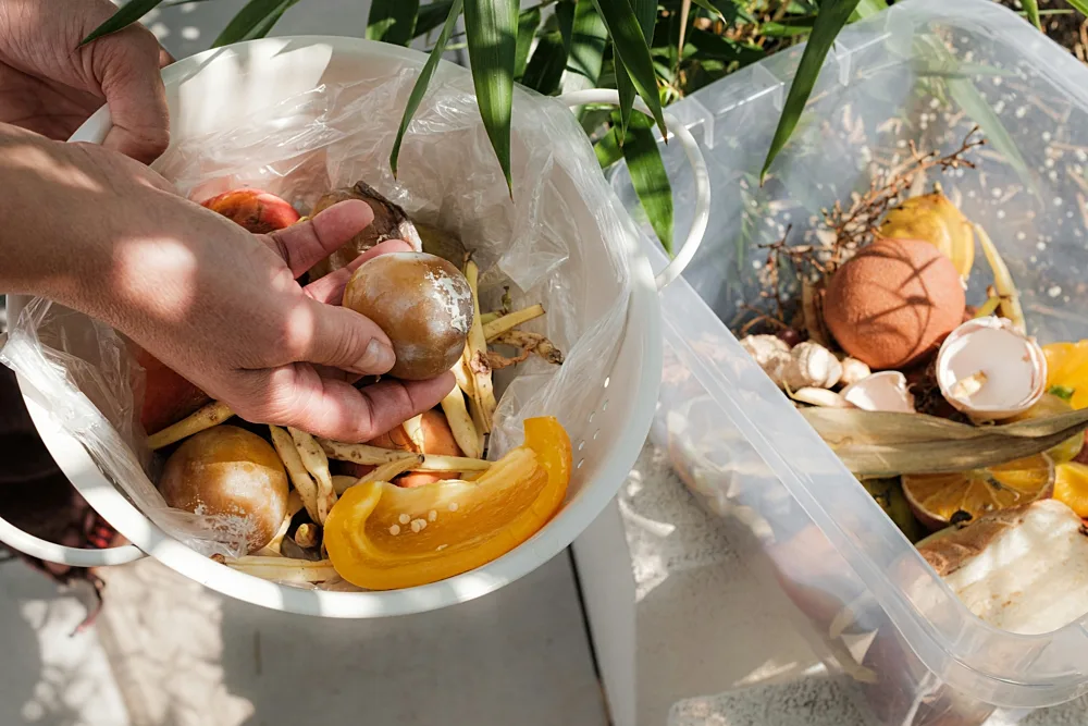 Karolina grabowska LO5hp Xqzn8 unsplash