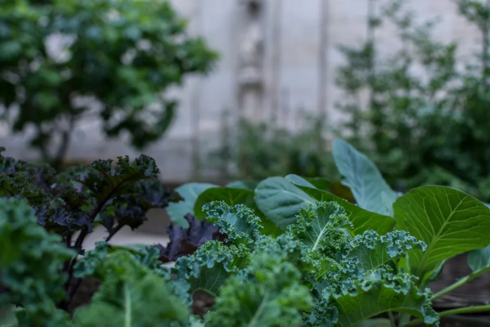 Philippe desmidt NJU7nk0 Hyw E unsplash