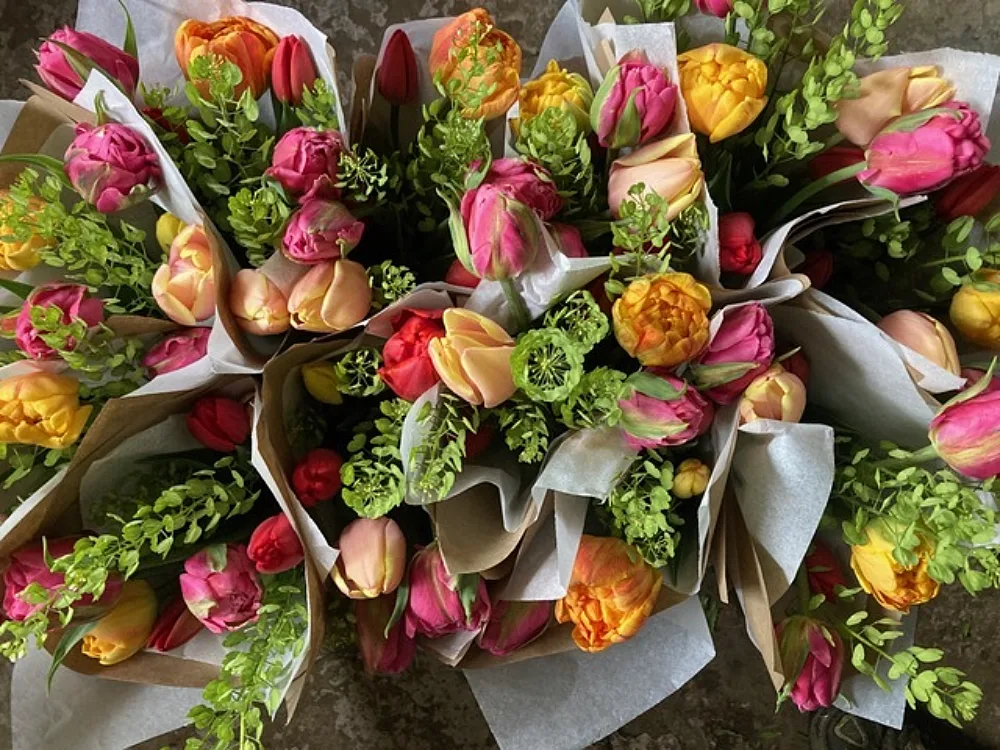 Fleurs en ville Tulipes Credit Paola Saavedra Belmar