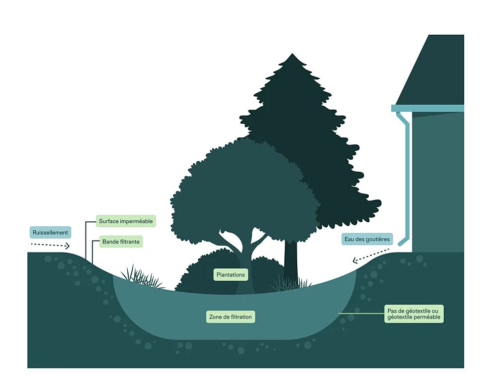 Illustration d’un jardin de pluie conçu pour absorber l’eau de ruissellement autour d’une maison