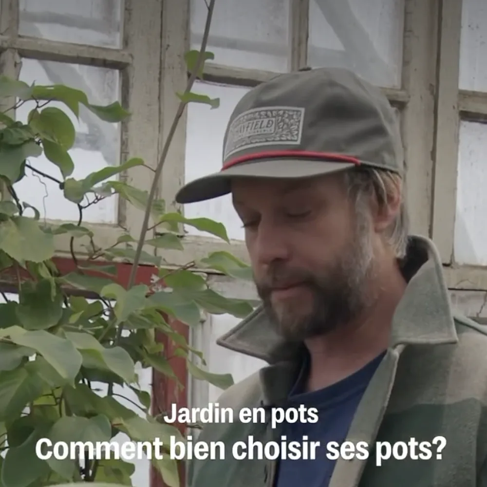 Jean Martin