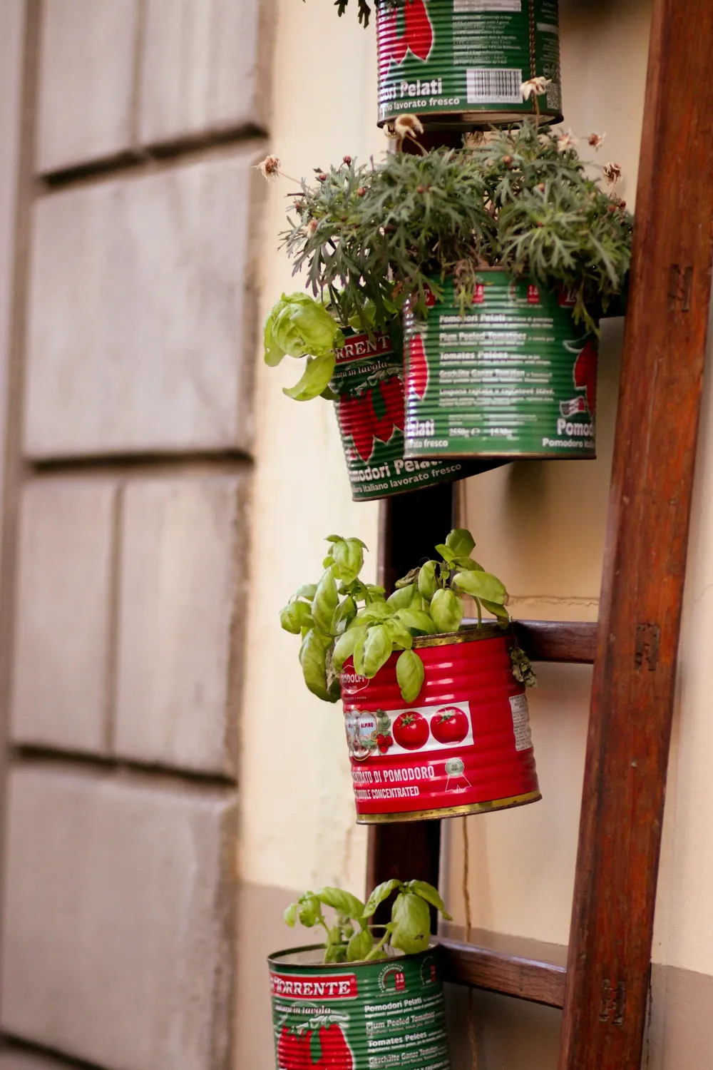 jardin-vertical-fines-herbes-conserves
