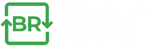 Logo Présenté par Les Décarbonés Brique Recyc
